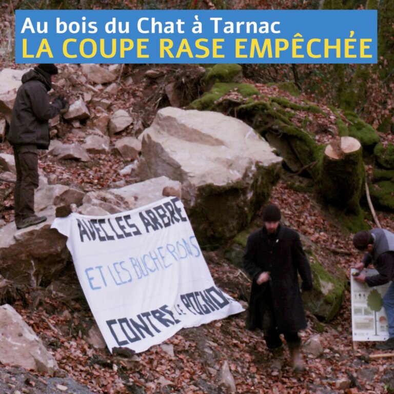 Dans un paysage de feuilles mortes et de rochers, trois personnes autour d'une banderole "Avec les arbres et les bûcherons, contre le pognon". Un titre sur l'image&nbsp;: Au bois du Chat à Tarnac, la coupe rase empêchée.