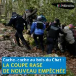 Dans la confusion, un petit groupe de personne monte une pente dans un bois, encadrées par trois gendarmes.
