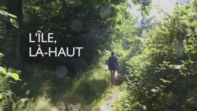 Une jeune femme marche de dos dans une forêt ensoleillée.