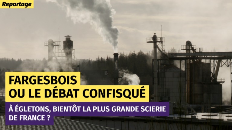 Usine avec cheminée fumante sur fond de forêt et de ciel gris, en contre-jour.