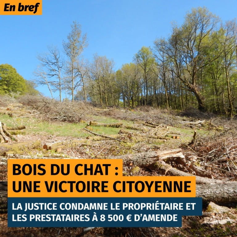 Un bois rasé