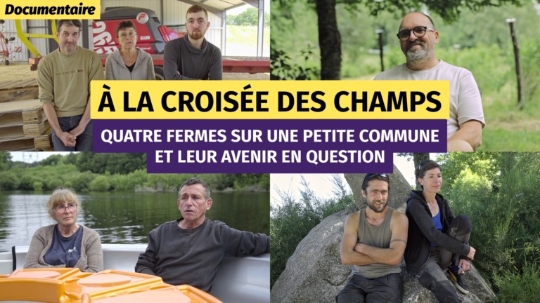 Quatre photos - extérieur été - au total cinq hommes et trois femmes face caméra.