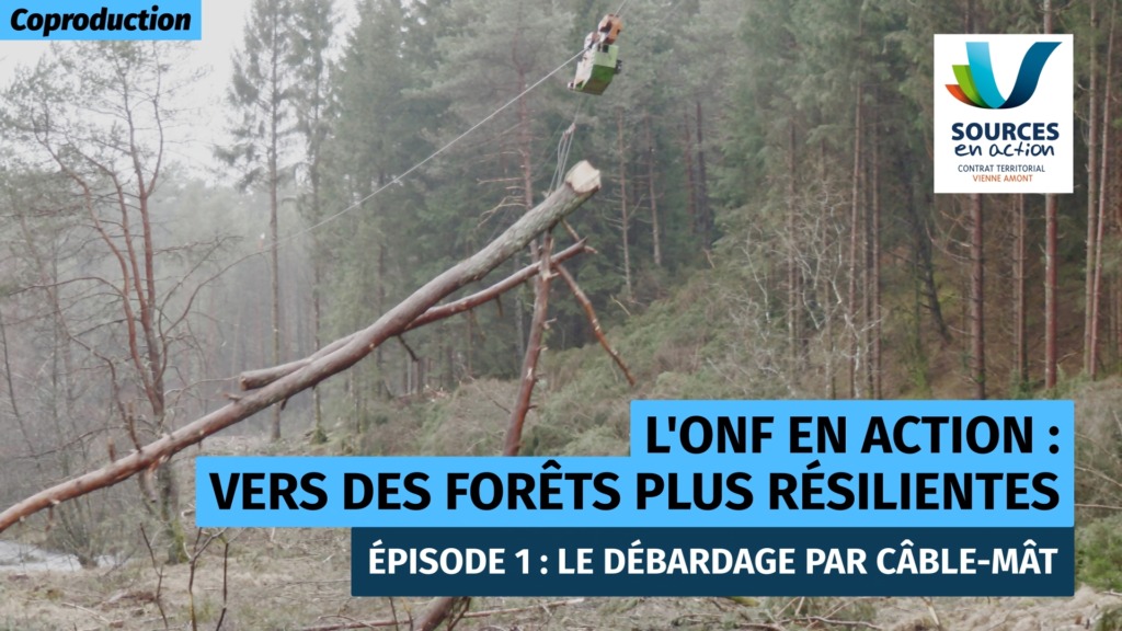 Un gros tronc d'arbre est en train d'être sorti d'une zone boisée humide à l'aide d'un câble fixé à une sorte de grue.