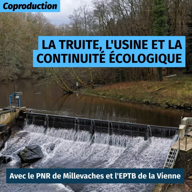 La truite, l'usine et la continuité écologique