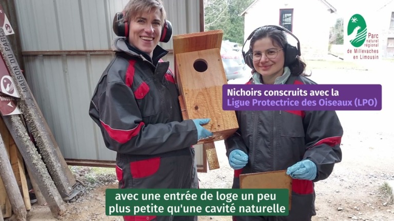 Natura 2000 : des nichoirs pour la chouette de Tengmalm